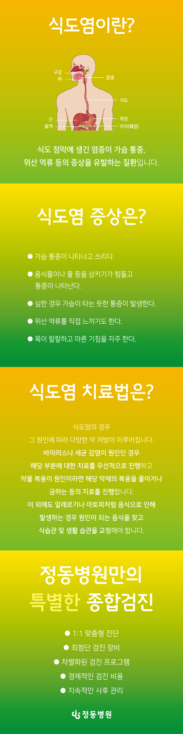 11a2e82e4724375.jpg