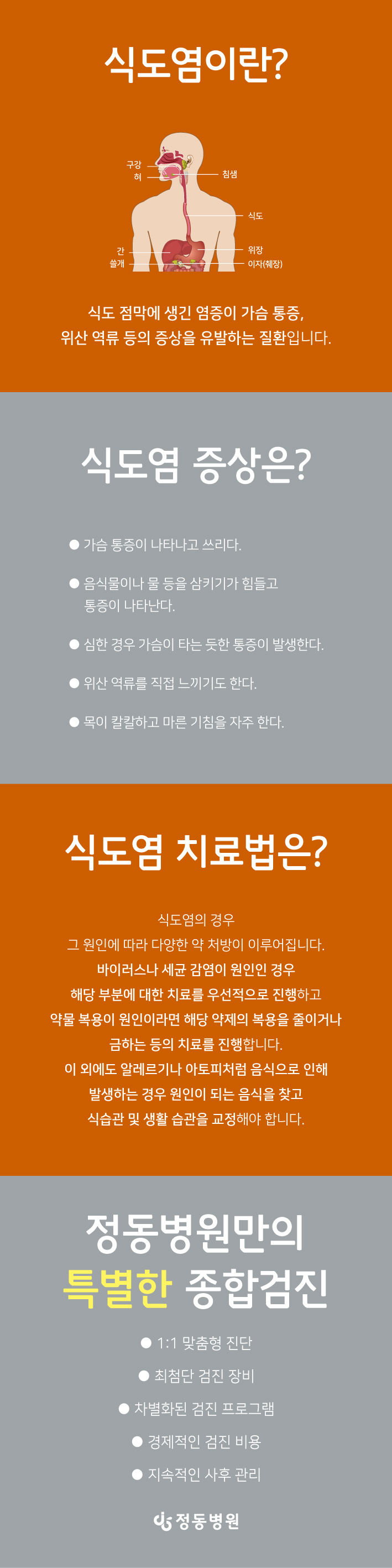 11a2e82e4726741.jpg