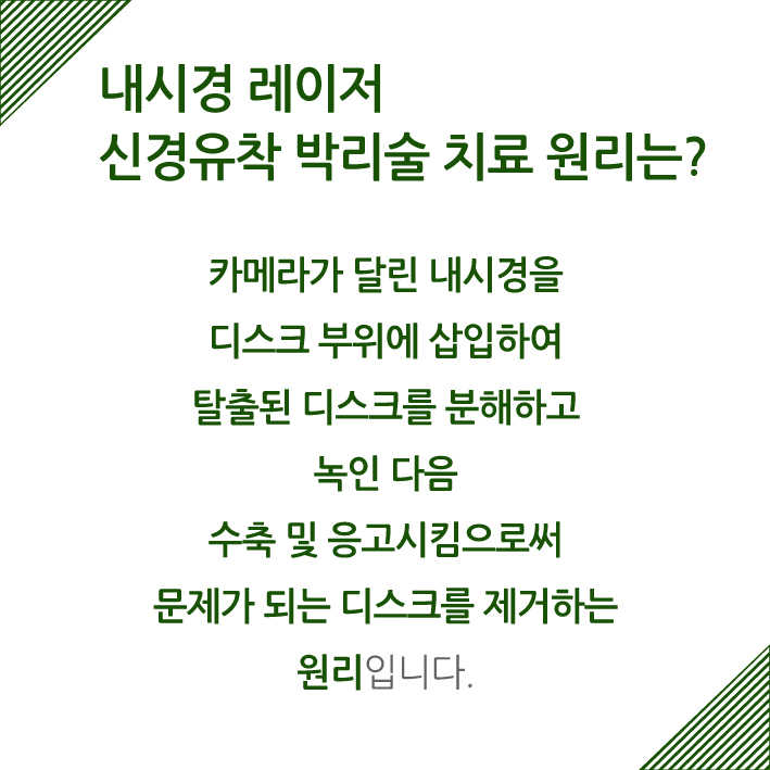 232cafa4c441482.jpg