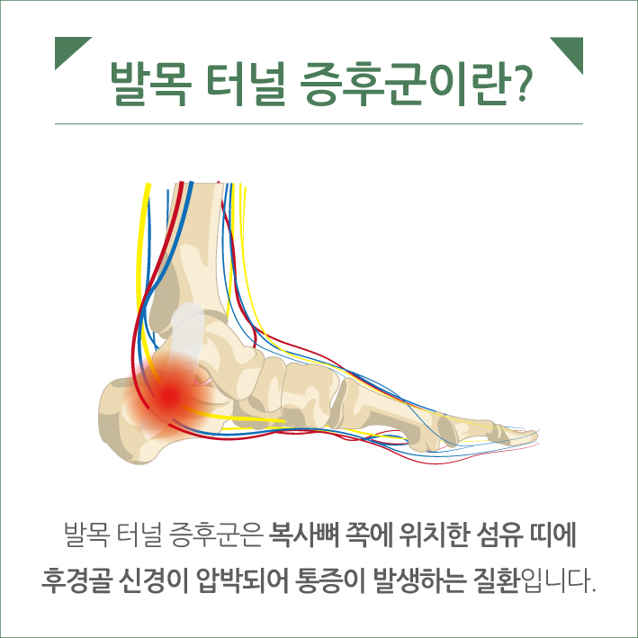 5c5baf40ff18101.jpg