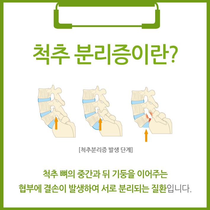 5c5baf40ff40293.jpg