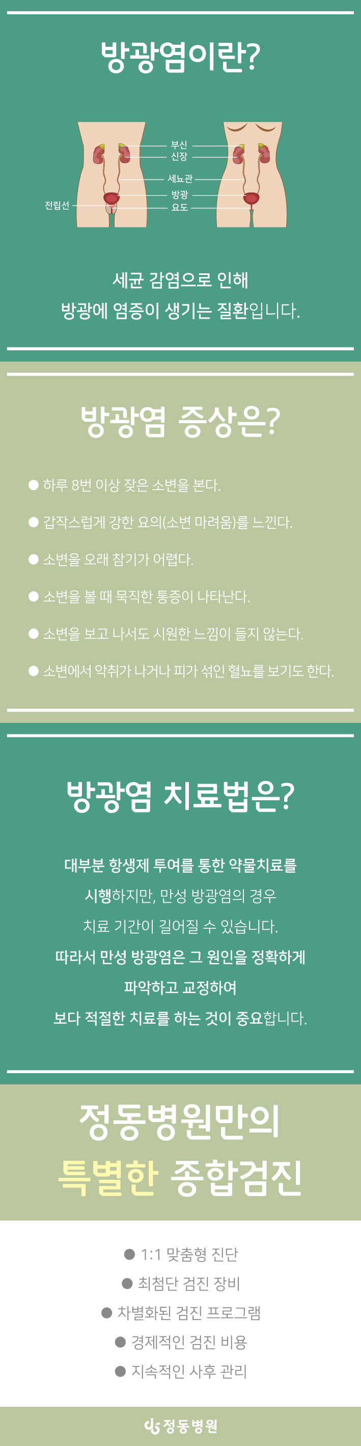 7d62dcff7712693.jpg