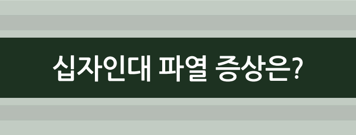ab62af869b19074.jpg