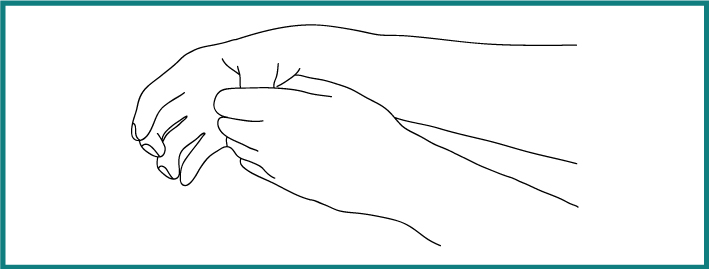 d4f782915716995.jpg