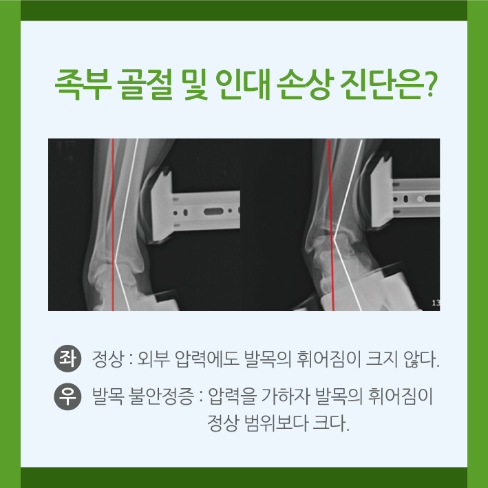 ec6c83575326184.jpg